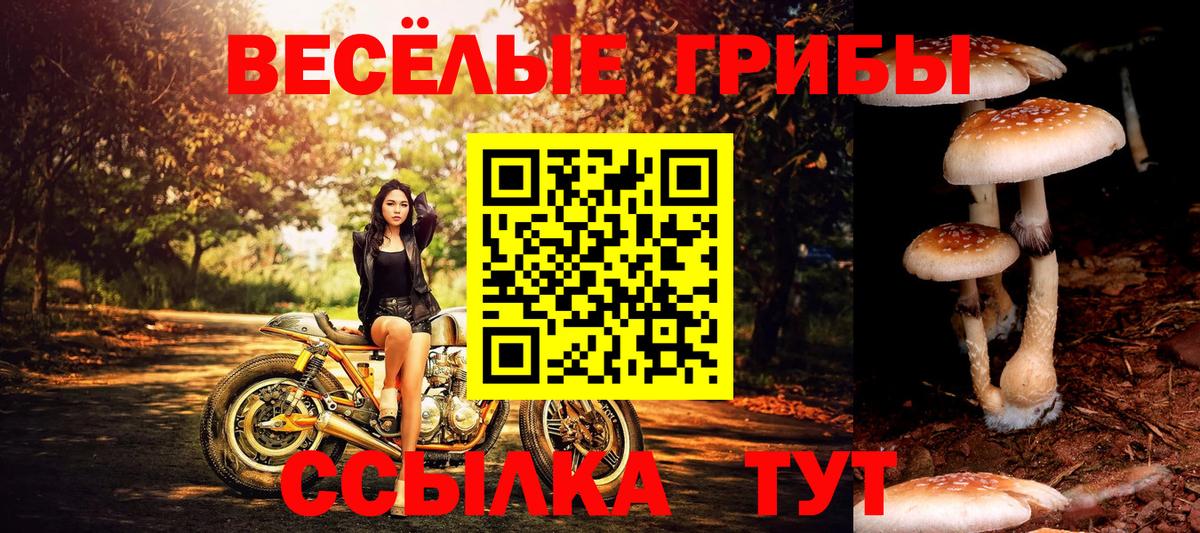 Анапа  купить закладку  Псилоцибиновые грибы MAGIC MUSHROOMS  Вход с VPN  Галлюциногенные грибы Cubensis 