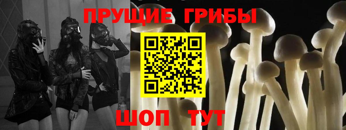 Галлюциногенные грибы мицелий Анапа
